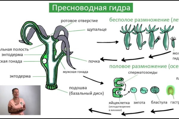 Кракен 12at сайт