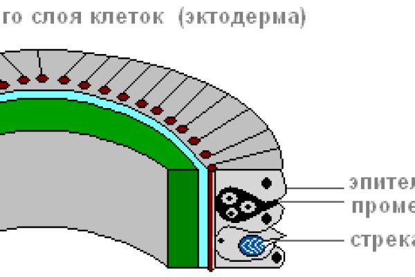 Kraken как найти ссылку